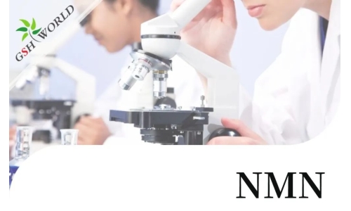 行業(yè)關(guān)注 - 最新研究長期補充NMN可改善血管健康