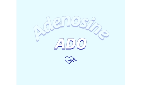 洗護(hù)用品中添加腺苷是否有防脫發(fā)功能？