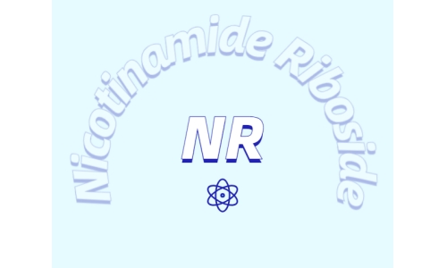 煙酰胺核糖氯化物是如何增加NDA+水平的？