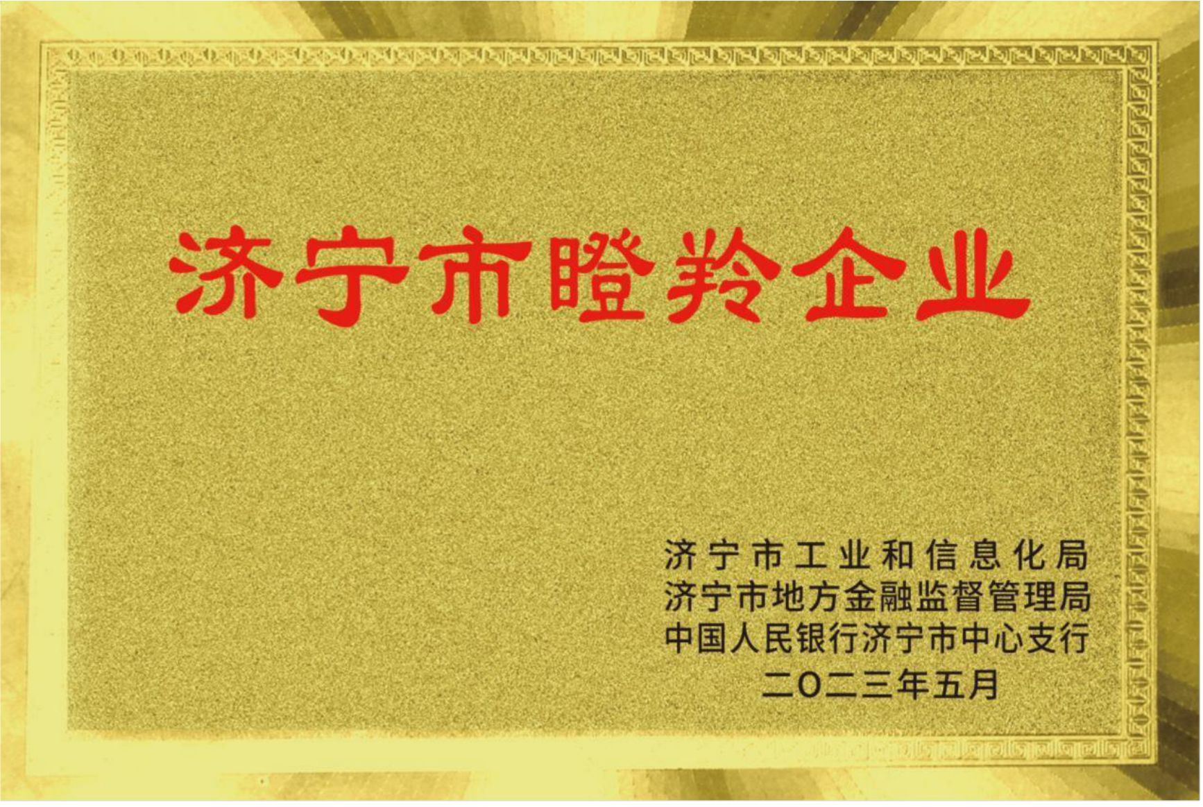 濟寧市瞪羚企業(yè) 濟寧市瞪羚企業(yè)